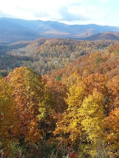 Beautiful Autumn Colors in the Great Smoky Mountains