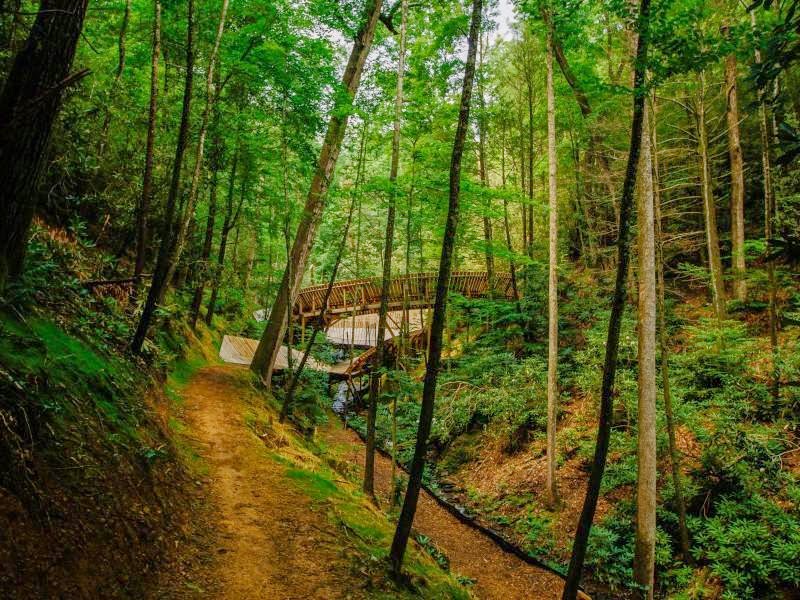 Part of the Mountain Bike trail at Climbworks