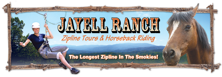 Jayell-logo