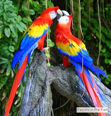 Eco-tourism at bird sanctuary