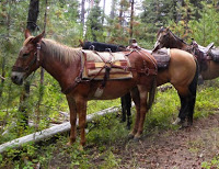 Horseback riding outdoor attraction