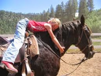 Kids love the horses in the Smokies