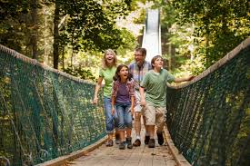 Smoky Mountain Attraction