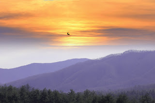 Goliath zipline at Foxfire Mountain Adventure