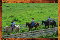 Trail riding in the Smokies