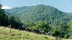 Horseback riding near Pigeon Forge