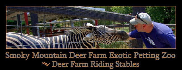 Smoky-Mountain-Deer-Farm-Logo-Large