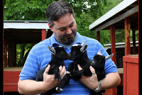 deer farm baby goats