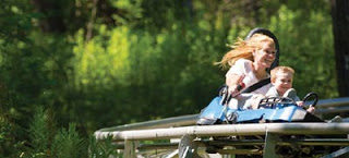 rowdy bear mountain coaster