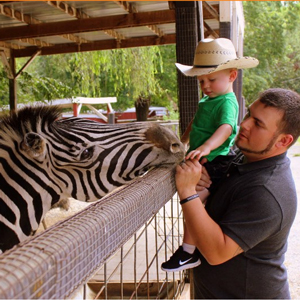 smoky mountain deer farm exotic petting zoo riding stable