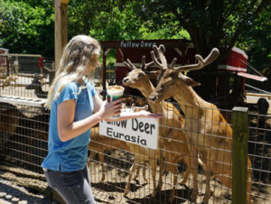 Deer-Farm-deer-feed Deer-Farm-deer-feed