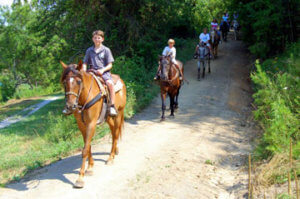 Horseback-Riding Horseback-Riding