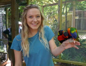 Parrot-Mountain-3-eating Parrot-Mountain-3