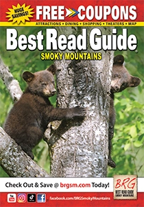 Smoky mountain coupons