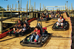 The Track Pigeon Forge Wild Woody Go-Kart