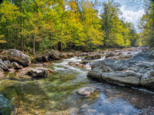 Greenbrier River Area 