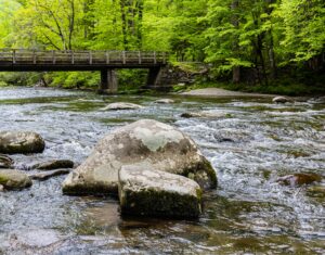 Little River Metcalf Bottoms