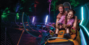 Rocky Top Mountain Coaster Night Lights Pigeon Forge Tennessee