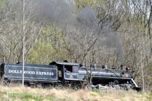 Dollywood Express Train