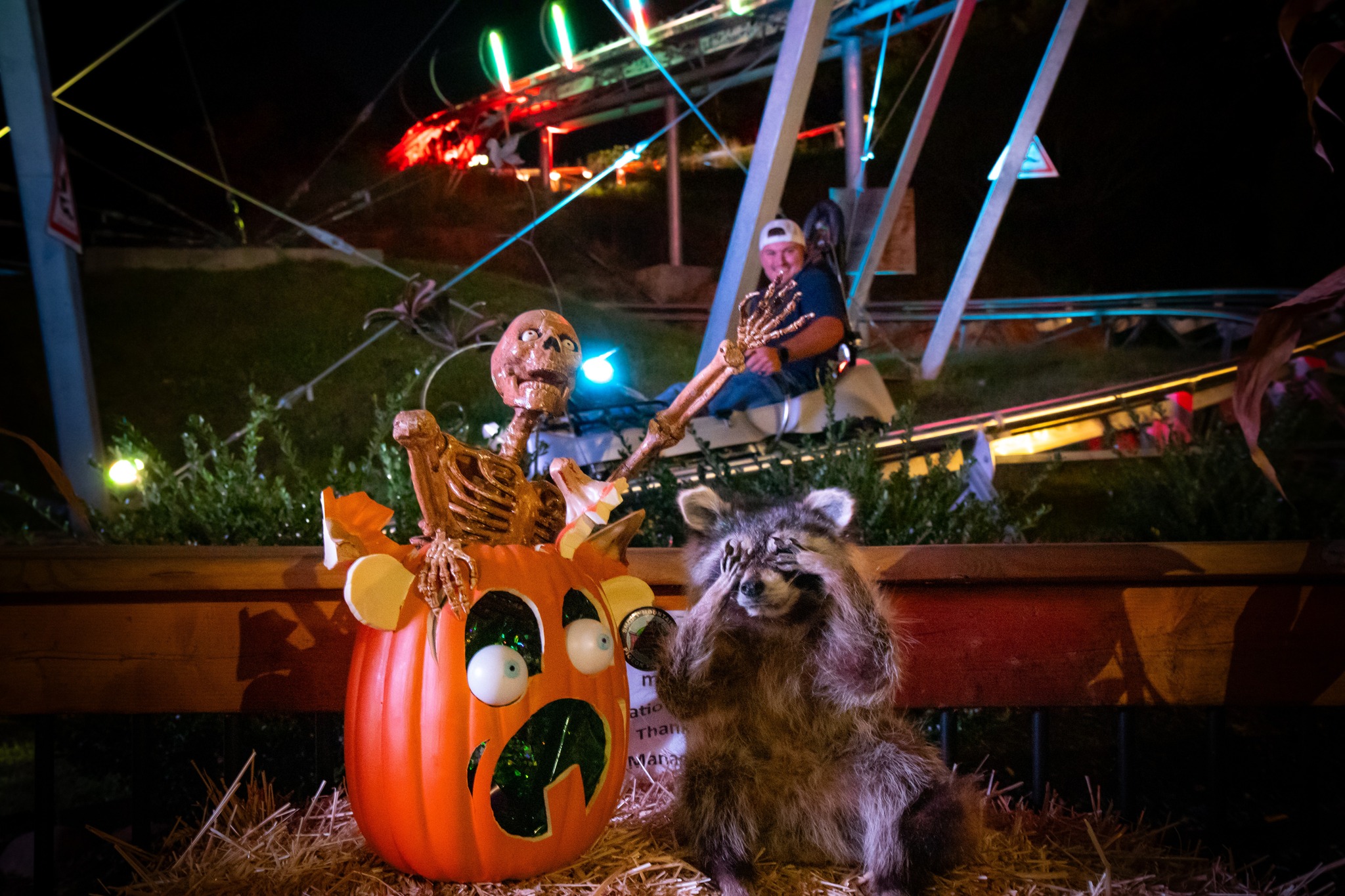Coast & Goblins Spooky Scene