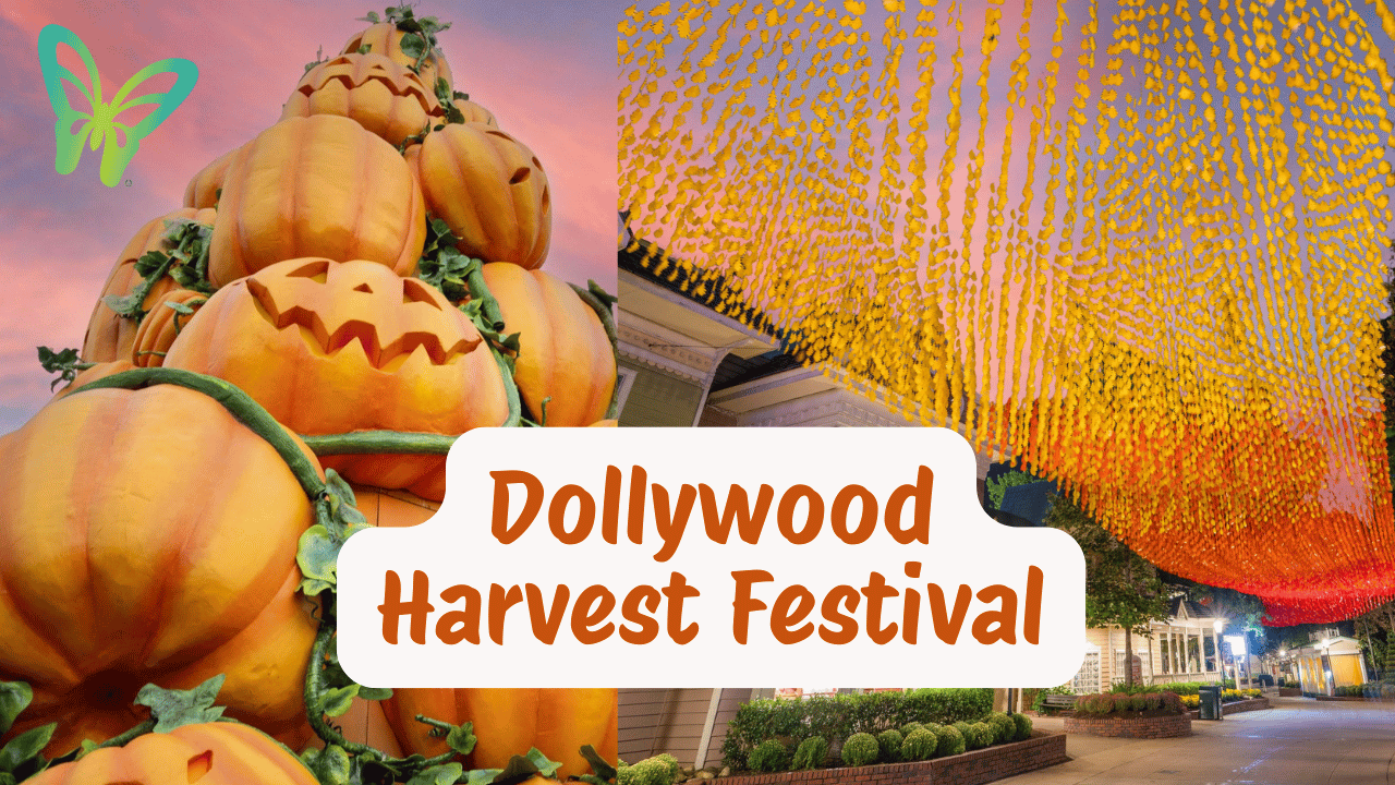 Dollywood Harvest Festival - Big Header