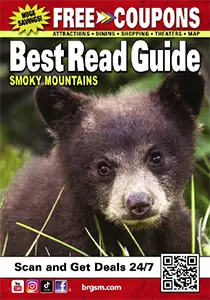 Smoky mountain coupons