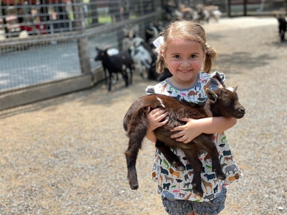 Kid Holding Baby Goat at Smoky Mountain Deer Farm