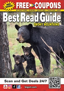 Smoky mountain coupons