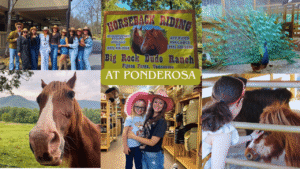 Ponderosa Big Rock Dude Ranch Blog Header