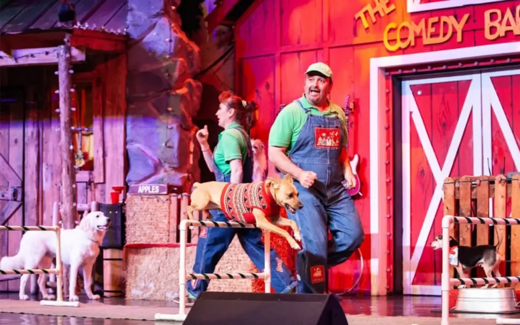 Dogs Performing at Comedy Barn