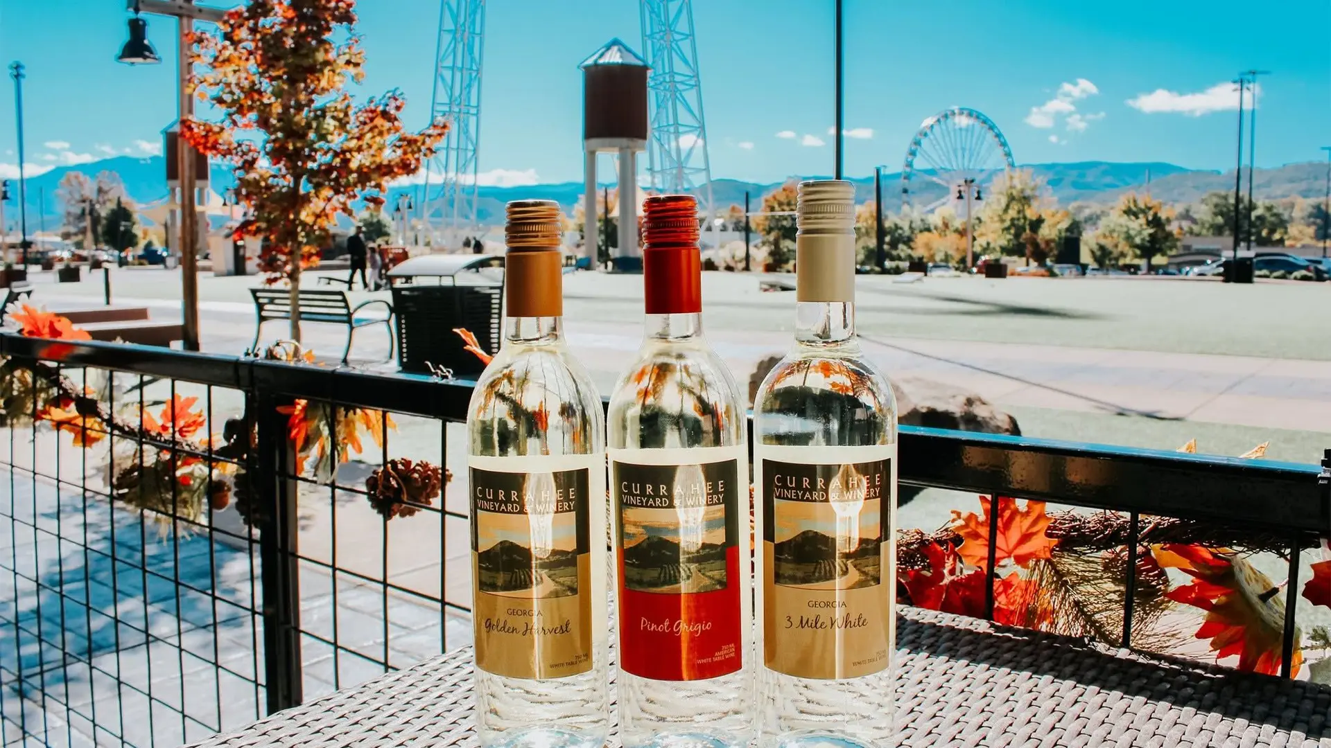 Currahee Winery Pigeon Forge Tennessee