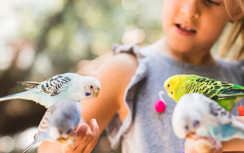Girl with Birds at Springtime Farms