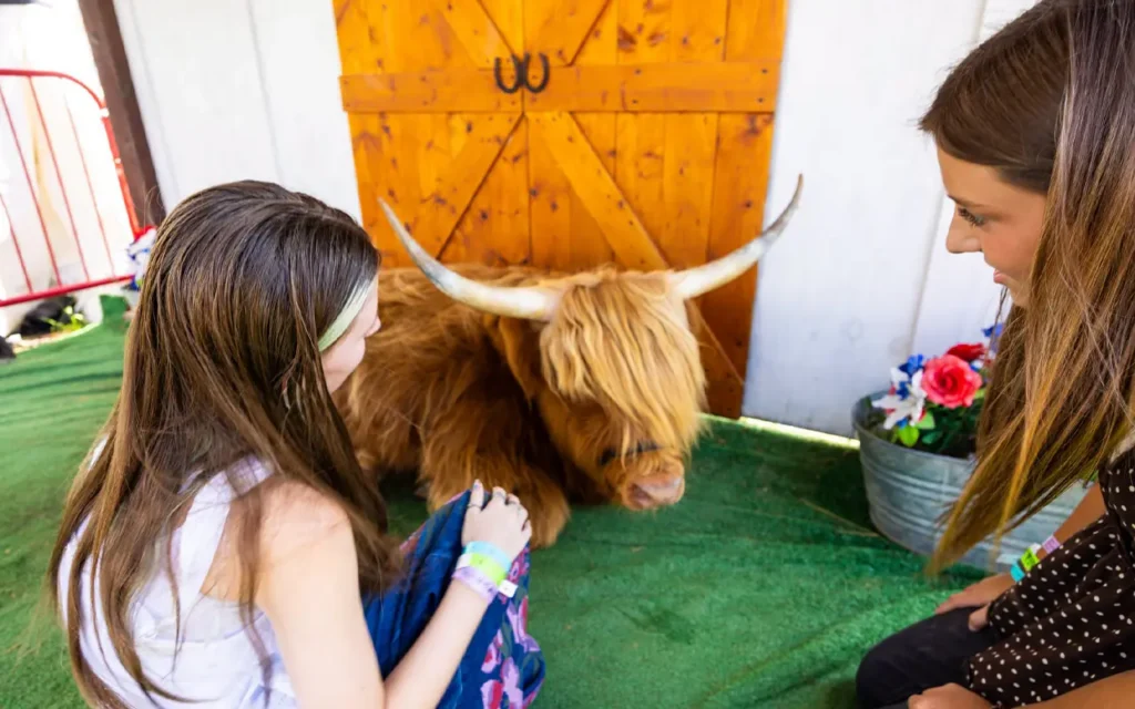 Mother and Daughter Petting Highland Cow at Skyland Ranch