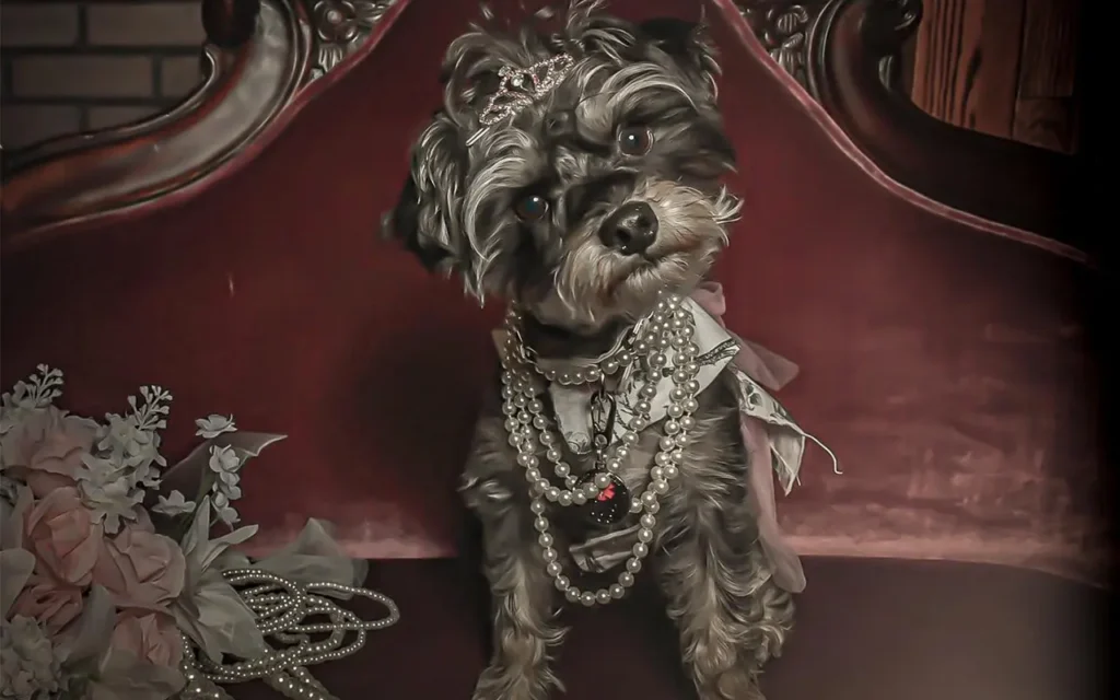 Pet Posing for Photo at Four Bandits Old Time Photo