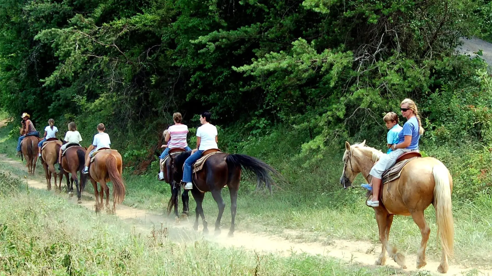 Smoky Mountain Deer Farm in Sevierville Tennessee