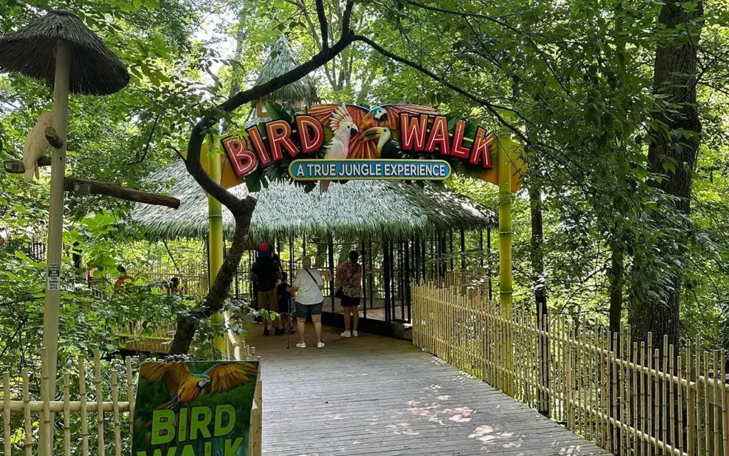 The Bird Walk at Parrot Mountain and The Garden of Eden